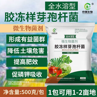 Yiqiang biological fully hydrosol jelly-like bacillus 10 billion grams improved soil potassium solution planting fertilizer plant growth inhibition fully water soluble 500g package