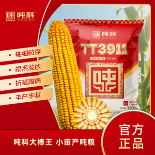 Новый сорт Тонке в 2026 году Семена кукурузы Тонке ТТ3911, фиолетовые стебли и фиолетовые листья, живые стебли вызревают, устойчивы к полеганию, засухе и переувлажнению, в наличии 26 лет, ТТ3911, 1 пакетик, 5500 зерен