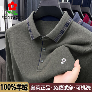 Montagut french montagut cashmere sweater for men 100 pure cashmere autumn and winter thick sweater middle-aged bottoming lapel sweater gray green 165/84a s