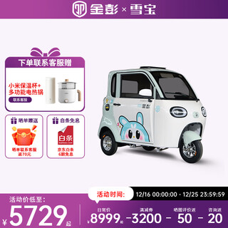 Jinpeng xuebao high-end electric tricycle caravan for the elderly to transport adult women to pick up and drop off children electric battery car exclusive version 1000w lead-acid battery 60v52a variable speed