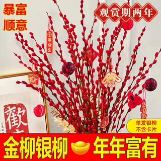 Zhongmeng silver willow real flowers fresh branches red willow dried flowers red bouquet ornaments flower flowers home flower arrangement dried branches indoor living room silver willow 60cm about 20 branches (does not include bottles)