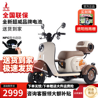 Phoenix beetle electric car tricycle small household electric motorcycle adult leisure tricycle small electric car 500w+60v20a lead-acid + battery life about 45 kilometers