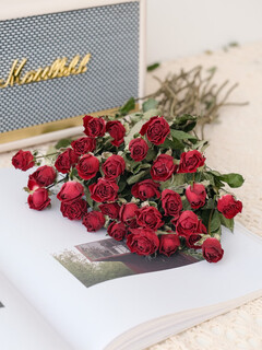 Dried flower multi-headed roses air-dried handmade flowers real flowers graduation photo living room decoration ins home furnishings ins style neon bubbles 30 flowers