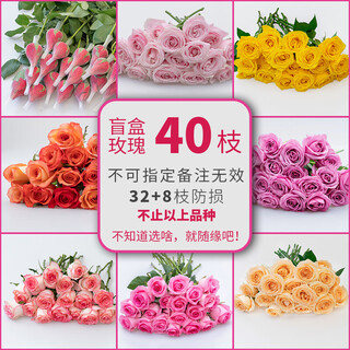 Yunnan kunming flower base directly sends red roses to dounan, directly batches home hydroponic roses, sends by air, 20 random roses + 20 random roses