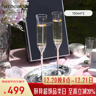 Wedgwood wedding gift wedgwood vera wang love knot rope silver champagne glass pair