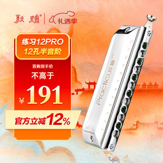 Dunhuang 12-hole filmless green grid chromatic scale practice 12pro harmonica washable silver c key recommended for beginners
