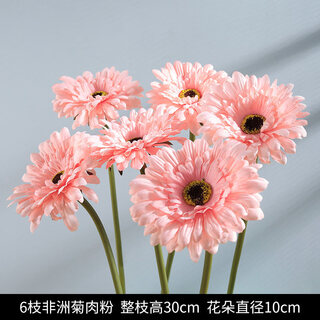 Pupan artificial plant flower potted indoor daisy ornaments sunflower artificial flower decoration dry flower set bouquet artificial flower 6 gerbera meat powder