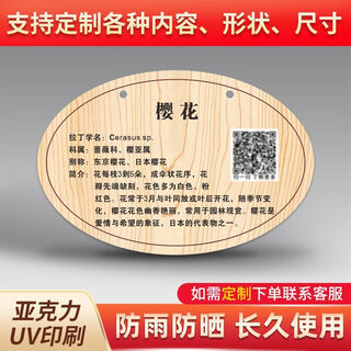 Вывеска о дереве, Знакомство с растениями, Табличка с именем дерева по индивидуальному заказу, Знак посадки деревьев, Знак ознакомления с деревьями, акрил sp-36 30х20см