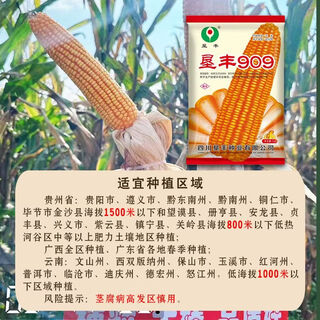 Семена кукурузы для горячих зон kenfeng 909 стержень вала с маленькими зубцами, глубокие полутвердые зерна, подходят для посева на средних и малых высотах 2jin jin = 0,5 кг Семена кукурузы kenfeng 909 2jin jin = 0,5 кг в упаковке