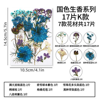 Pupan natural glue dried flower embossed diy material package plant specimen children's bookmark face decoration real flower national color and fragrance series k type