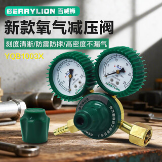 Berrylion oxygen gauge pressure gauge pressure reducer pressure reducing valve gas welding cutting torch oxygen pressure reduction gauge new yqb1003x