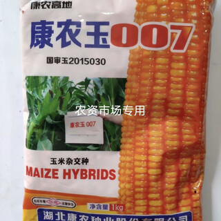 Одобренный на национальном уровне нефрит kangnong jade 007, кормовое семя кукурузы, початок белого зерна, желтый, с половиной вмятины, высокий выход kangnong jade 007/5, упаковка более выгодная