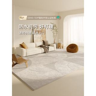 Sanqihu thickened and encrypted home carpet, living room and bedroom, light luxury style, designer original, washable, sky gray, customized size (contact customer service, default is 3 square meters (2 meters wide)
