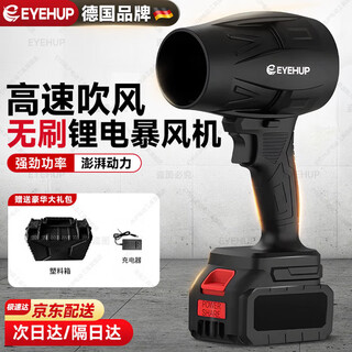 Eyehup german brand lithium hair dryer violent fan car washing dust removal snow removal wireless turbine rechargeable storm blower 15 batteries