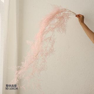 Qixianqi asparagus immortal flower dried flower bouquet living room decoration store hotel b&b decoration flower arrangement real flower eternal pink asparagus bouquet __ 5 pieces