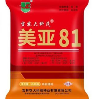 Semence de maïs nongda meiya 81, tiges violettes, feuilles violettes, résistance à la verse, haut rendement, gros bâton denté, grain doré semence de maïs nongda meiya 81, tige violette, feuilles violettes, résistance à la verse, haut rendement, gros bâton denté