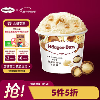 Haagen-dazs classic macadamia nut flavor ice cream 100ml/cup ice cream