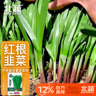 Beishu purple root leek seed seedlings single root red broad leaf vegetable seeds purple root leek seeds 10g about 1800 capsules