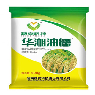 农家老品种糯谷种抗病高产长粒香糯粘度高米香浓高产良种糯谷水稻 华湘油糯一袋(500克)