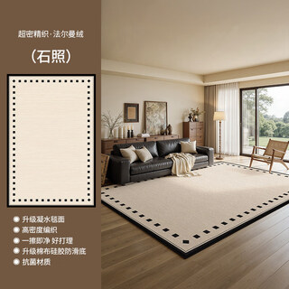 Nolin nolin carpet living room 2025 new no-wash and wipeable light luxury high-end second-hand sofa home living room carpet bedroom floor mat falman velvet-shizhao 200cm*300cm size