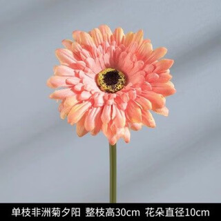 Pupan artificial plant flower potted indoor daisy ornaments sunflower artificial flower decoration dry flower set bouquet artificial flowers 3 gerberas sunset red