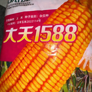 Датянь 1588 высокоурожайные семена кукурузы, крупные початки, глубокая устойчивость к болезням, сильная устойчивость к полеганию, высокая урожайность, 2 кг в мешке Датянь 1588 2 кг в мешке