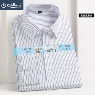 Goldlion high-end men's long-sleeved shirt spring and autumn versatile middle-aged civil servant professional formal cotton shirt with pockets 01 white with black and purple stripes 38
