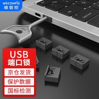 Weizhikong enterprise usb port data usb security lock usb lock sealing plug usb security plug usb dust plug gray (10 pieces + 1 tool) removable