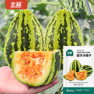 Beishu melon seeds, emerald rock sugar seeds, croissant honey, white sand honey, spring melon seeds, beishu sweet tooth rock sugar melon seeds, about 60 pieces, 2 bags