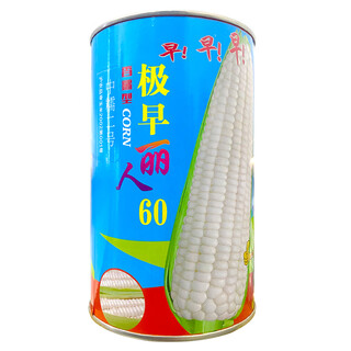 Wangyuanxing zaolien 60-day white waxy corn seed early-maturing white sweet waxy corn fruit corn corn seed sowing short stalks in spring and summer zaoliren 60 days/500g barrel