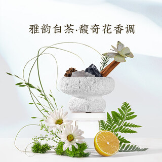 Shantou lin village is beautiful, the four-season leisure garden is expanded with stone-scented ornaments dcc yayun white tea-fuqi flower tune
