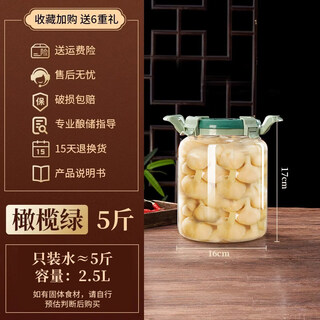 Kowsi pickled sugar garlic special sealed jar refrigerator kimchi jar refrigerator storage box enzyme bottle household pickle glass seal heat-resistant thickening + automatic exhaust olive green water capacity 5jin jin equals 0.5 kg (2.53