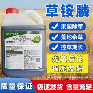 Para una gran cosecha y un gran éxito, elija glufosinato de amonio diez jin jin equivalente a 0,5 kg. herbicida pasto de buey terrenos baldíos tierras no cultivadas control de malezas glufosinato de amonio fósforo huerto pesticida para deshierbe 10% glufosinato de amonio 5 kg * 4 barriles