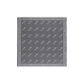 Coach carriage pattern print wool scarf women's gray default f