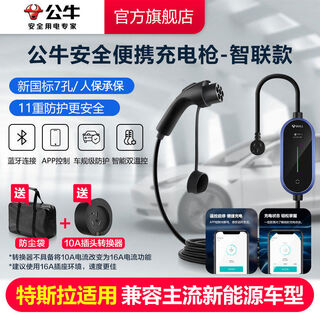 Shantou lincun new energy electric vehicle charging gun with car charging tesla portable charging gun byd zhilian style charging gun with 16a to 10a converter 5 meters