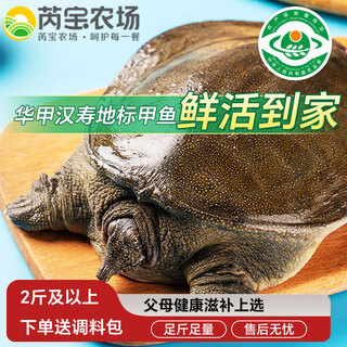 Ruibao farm fresh hanshou chinese soft-shelled turtle fresh net weight 2jin jin is equal to 0.5kg / piece of soft-shelled turtle freshly released straight from the source