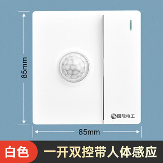 Type 86 one-open dual control plus human body sensor switch with light control sensor plus switch intelligent delay panel white one-open dual control with human body sensor