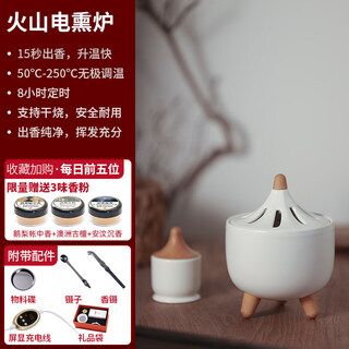 Shantou lincun fangyuan electric furnace ceramic household electronic fumigation furnace indoor sun fumigation furnace timing temperature adjustment powder electric fumigation furnace fire electric fumigation furnace