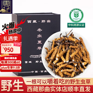 Dongzi authentic tibetan nagqu pure wild cordyceps high altitude cordyceps gift box broken grass for elderly gifts tonic nagqu wild large broken grass-family tonic 5g