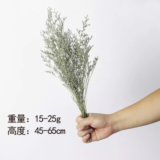 Dried flower multi-headed roses air-dried handmade flowers real flowers graduation photo living room decoration ins home furnishings ins style lover's grass 4 pieces high 50 cm