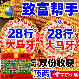 Nationally approved rip 909 red shaft big cob corn seed, high yield, short stem, lodging resistance, disease resistance, drought resistance, wholesale corn, 4400 grains per acre, song high yield seed dressing, improved version rip 909 guaranteed