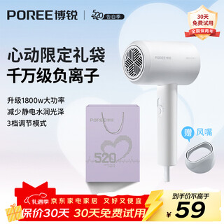 Feike borui hair dryer household high-power hair dryer student dormitory portable high wind low noise three-speed temperature 360 air nozzle hair dryer christmas gift for girlfriend heartfelt confession gift bag ph1629 hair dryer