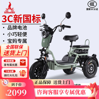 Phoenix flying tiger can be registered as a parent-child electric tricycle, household small electric vehicle for the elderly, small three-wheeled electric motorcycle, green + 48v12a lead-acid + 500w motor