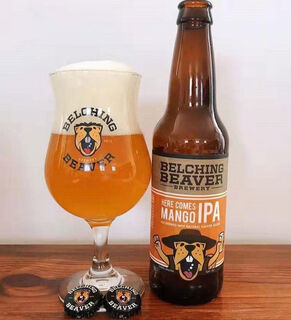Imported belching beaver special craft beer cup tulip cup pint cup beer cup belching beaver tulip cup 330ml comes with original coaster