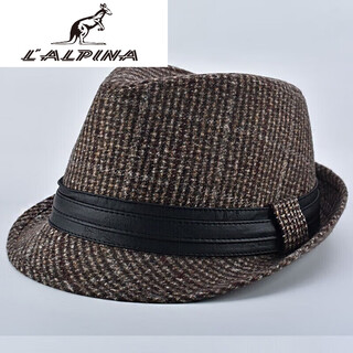 Alpina kangaroo men's hat autumn and winter middle-aged and elderly hats men's british gentleman hats spring and autumn elderly dad hats brown thick one size