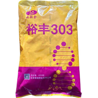 Luodong yufeng 303 corn seeds are disease-resistant, lodging-resistant, high-yielding, stable and high-temperature resistant corn seeds, original factory packaging 4200 grains 4200 grains original factory packaging