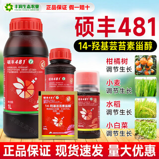 Shuofeng 481 flower fruit 14 hydroxy brassinolide lipid sterol antidote harmful flower and fruit growth regulator 8ml
