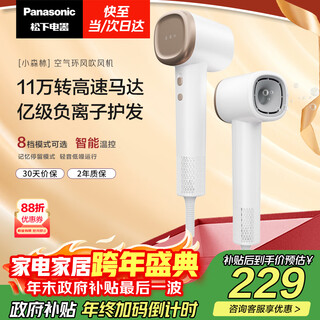 Panasonic's state-subsidized high-speed hair dryer, quick-drying negative ion hair dryer for home use, does not hurt, sends girlfriend new year's gift, small forest ceramic white eh-ne6l