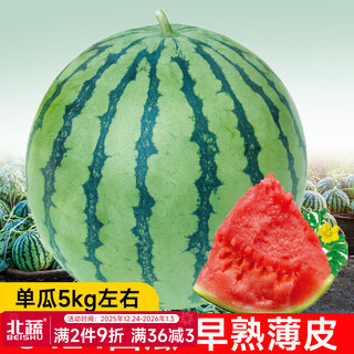 New varieties of beishu kirin watermelon seeds, lazy man, southern meidu watermelon seeds, zaojia 8424 watermelon seeds, 30 capsules/bag