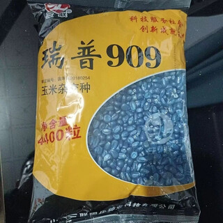 Одобренные на национальном уровне оригинальные высокоурожайные гибридные семена кукурузы 909, очень крупные палочки, устойчивы к полеганию, короткие стебли, раннеспелые высококачественные семена, зерна rip 909/4400.